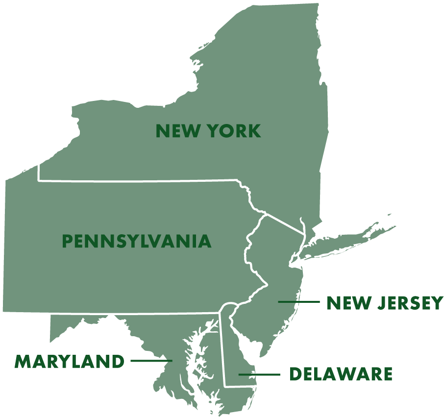 New Jersey Scorts