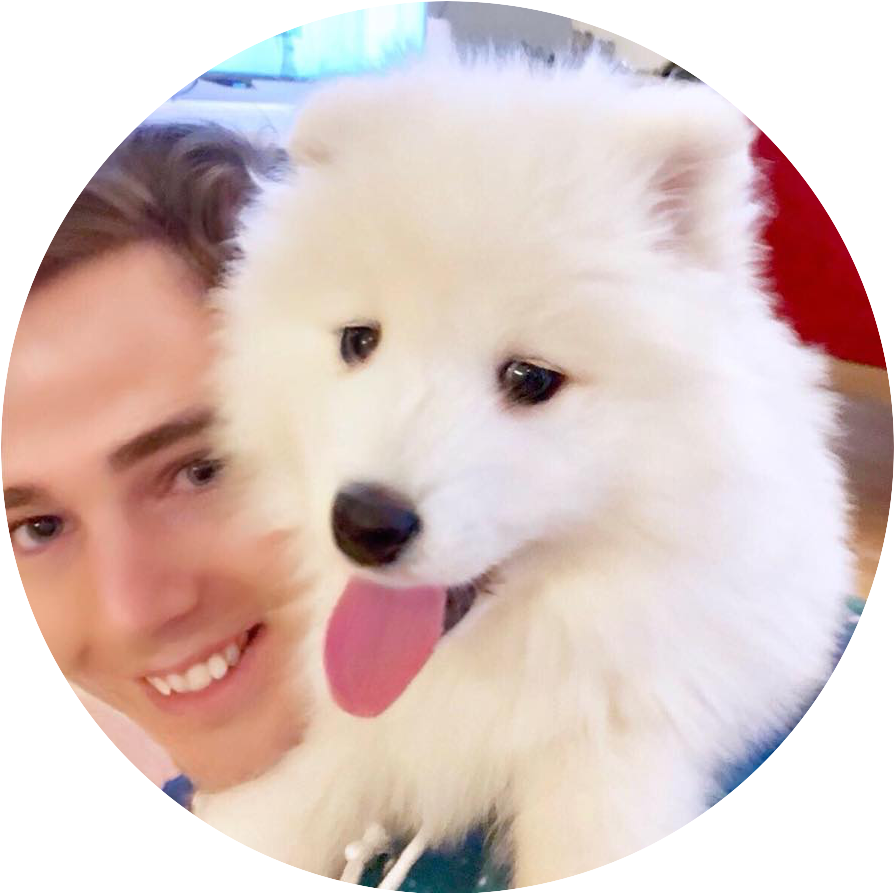 Samoyed Clipart (920x920), Png Download