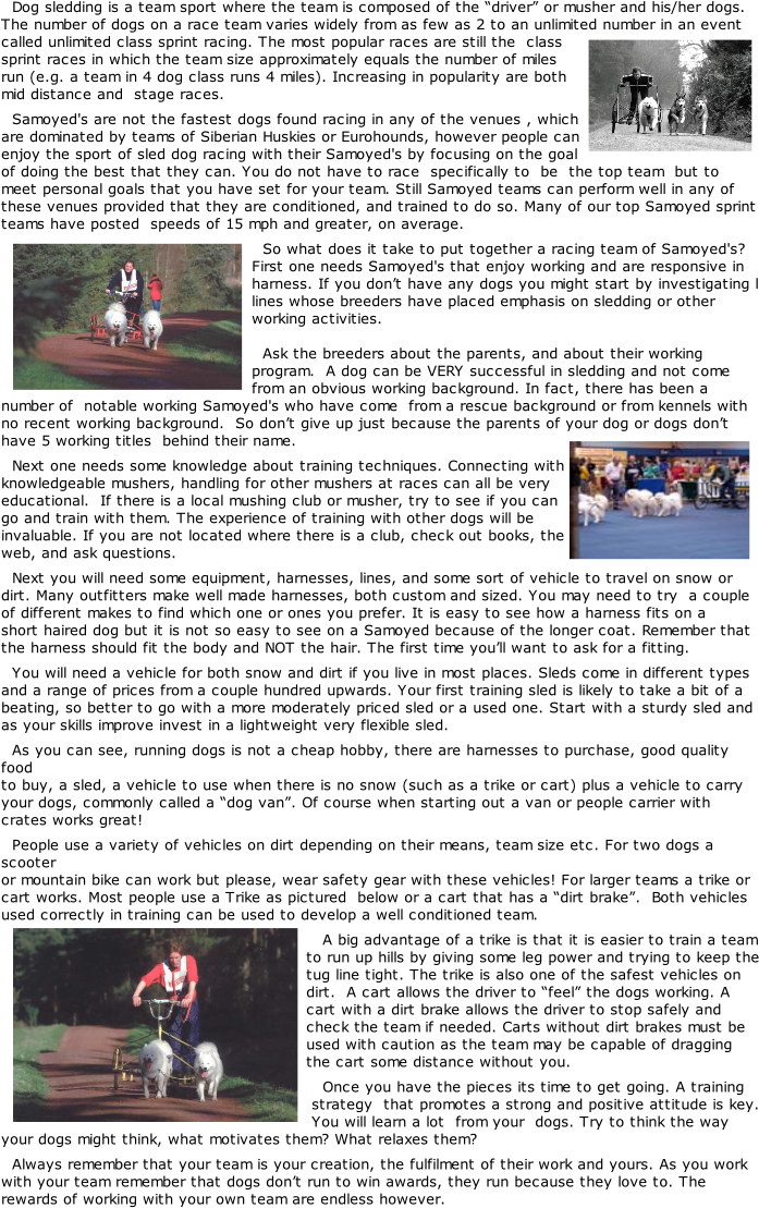 Northern Samoyed Society About The Samoyed Events And - Boating Clipart (696x1143), Png Download