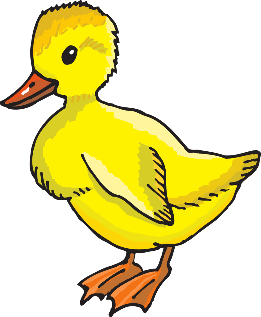 Yellow Duckling - Yellow Duck Clip Art - Png Download (846x1024), Png Download
