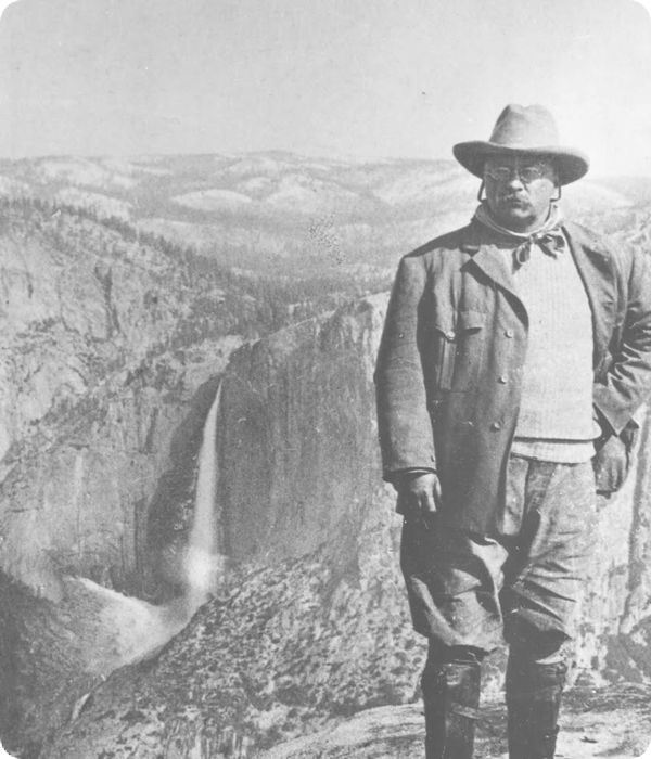 Teddy Teddy Icon - Naturalist Theodore Roosevelt Clipart (600x700), Png Download