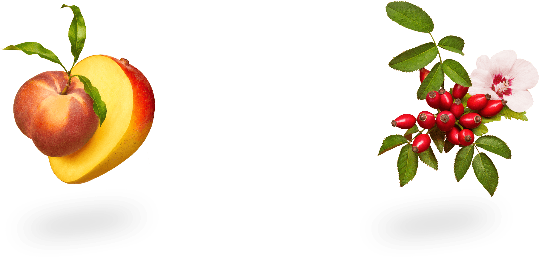 Natural - Buffaloberries Clipart (1920x1280), Png Download