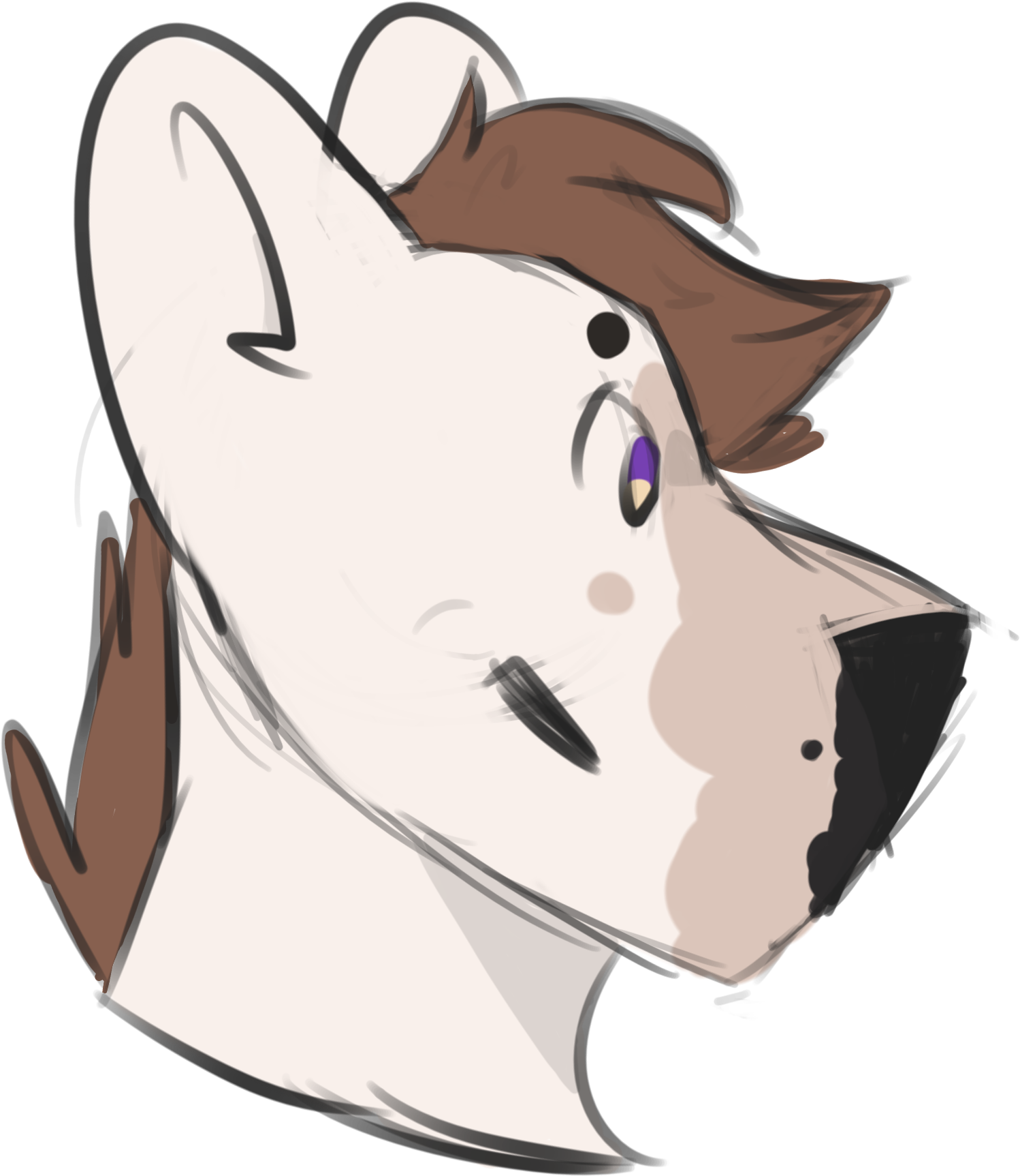 Details - Cartoon Clipart (1791x1806), Png Download