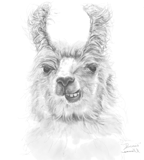 Bleed Area May Not Be Visible - Sketch Clipart (525x700), Png Download