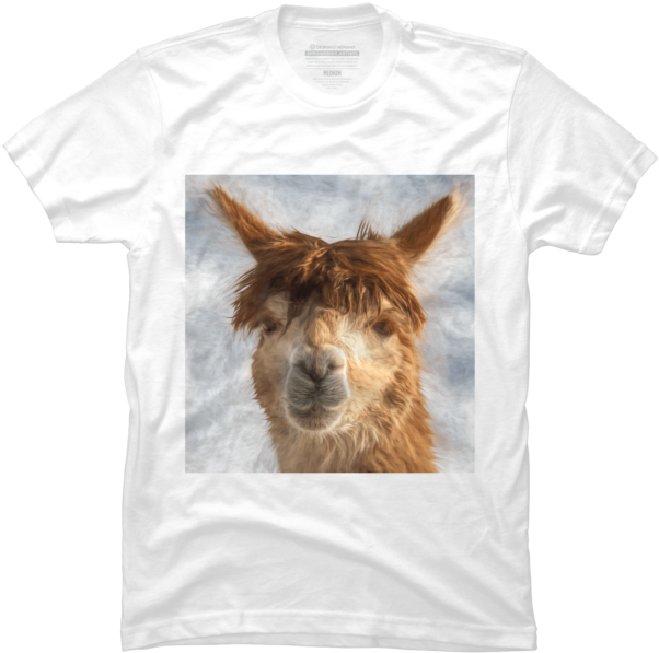 Alpacka - Donkey Clipart (650x650), Png Download