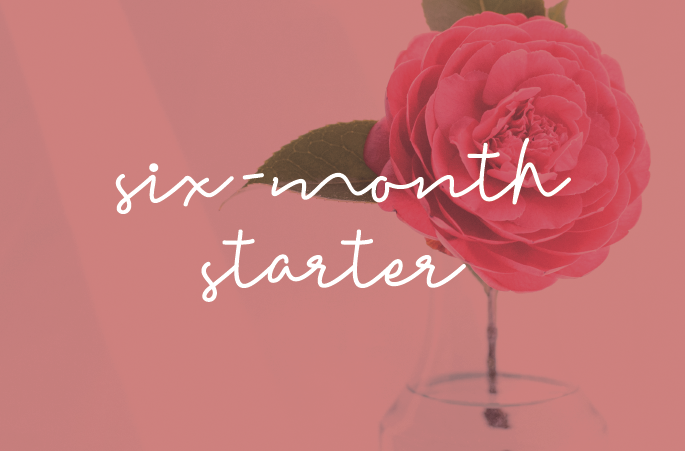 Garden Roses Clipart (685x451), Png Download