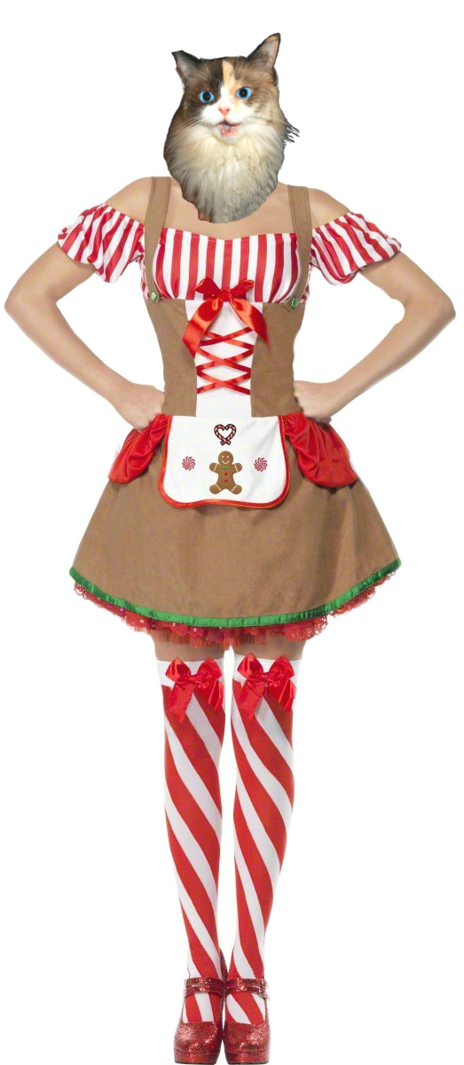 Isn't Mime's Gingerbread Girl Outfit Cute - Gingerbread Woman Costume Clipart (600x1200), Png Download