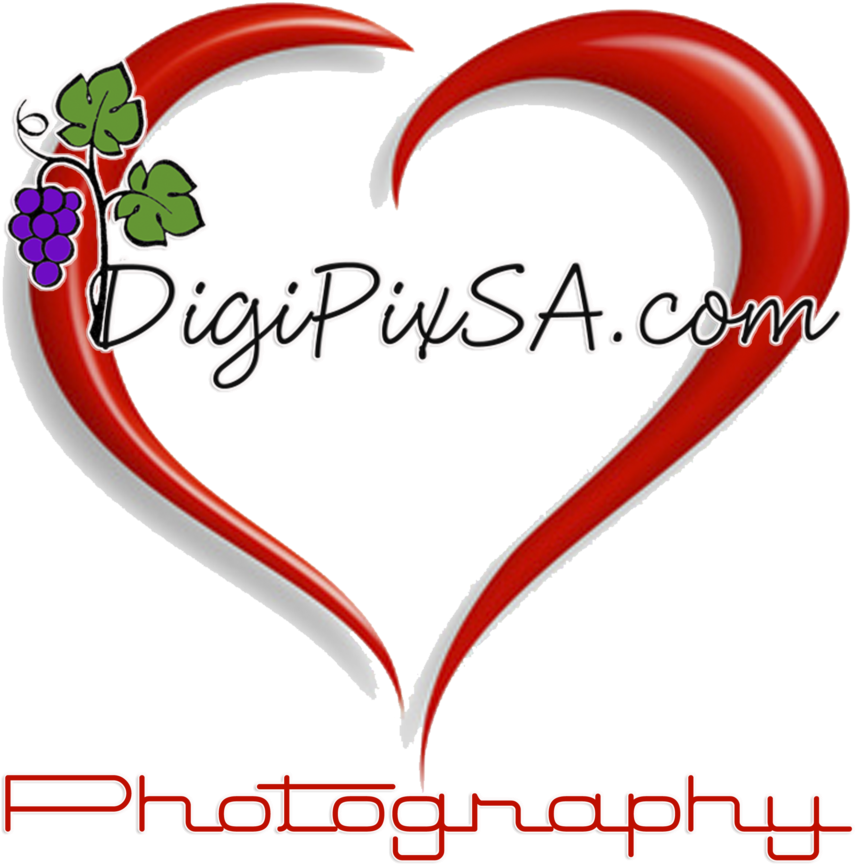 Digipixsa's Portfolio - Heart Clipart (960x960), Png Download