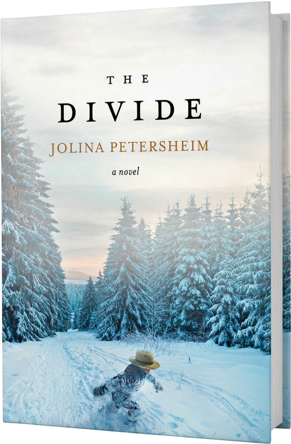 Mennonite/amish Fiction, Christian Fiction, Clean And - The Divide Clipart (1050x1575), Png Download