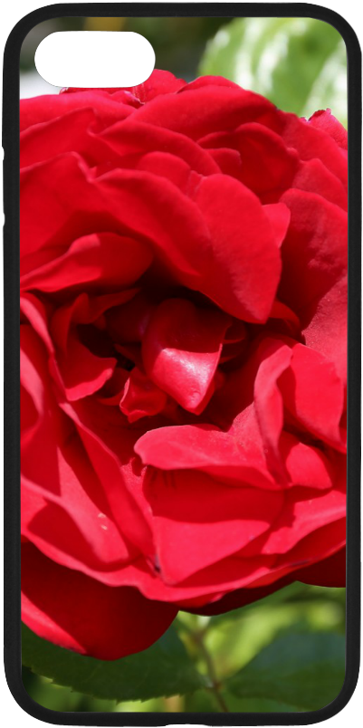 Smartphone Clipart (1000x1000), Png Download