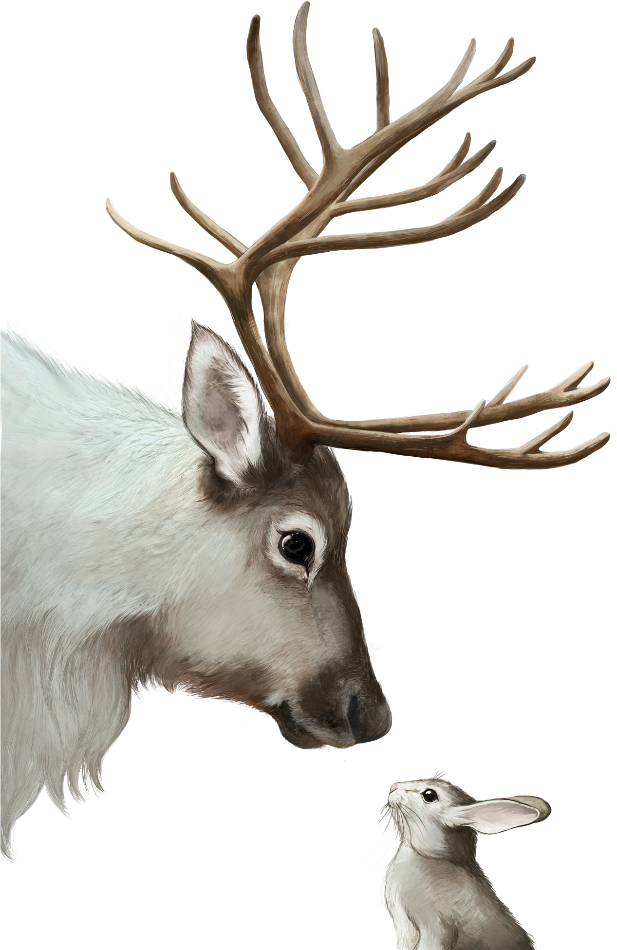 #reindeer Meets #rabbit Clipart (1354x2100), Png Download