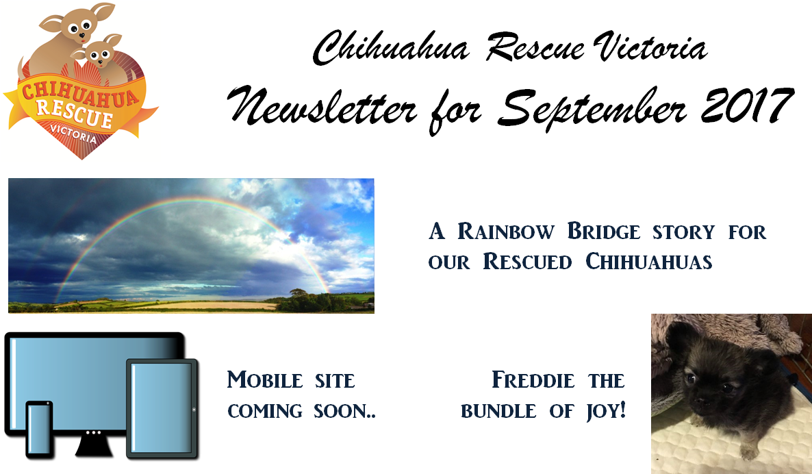 Dif Estatal Chihuahua Clipart (1363x716), Png Download