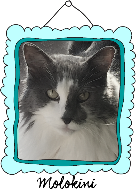 Snowshoe Clipart (526x753), Png Download