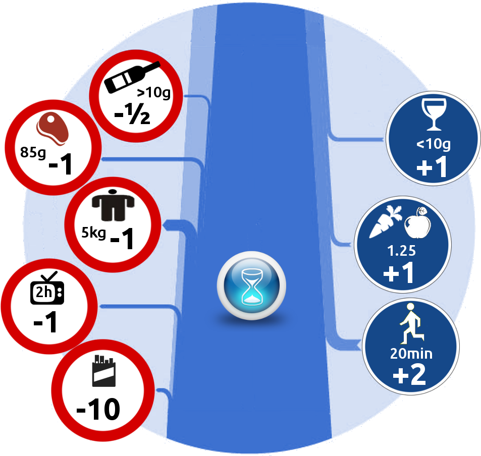 Longevity Camp Infographic - Micromorts Calculator Clipart (1024x954), Png Download