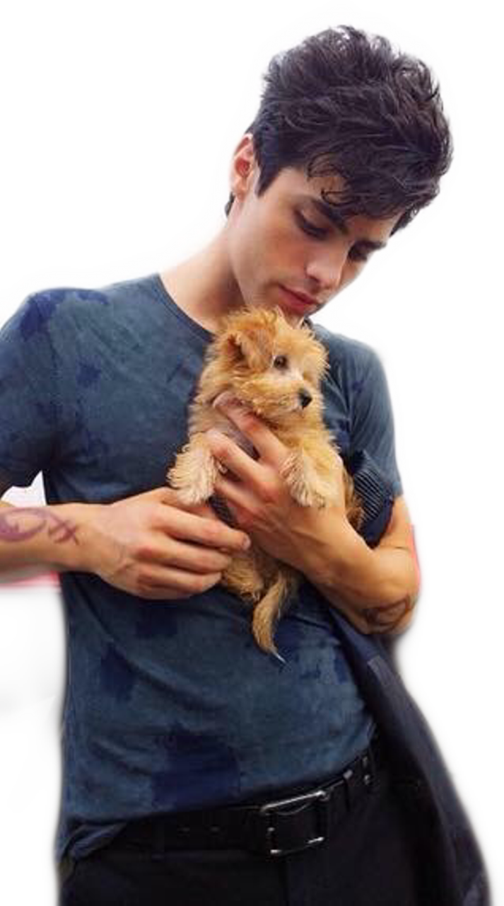 34 Images About Shadowhunters ➰ On We Heart It - Matthew Daddario Cute Clipart (713x1280), Png Download