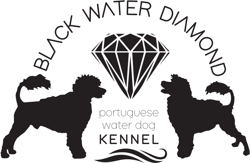 Portuguese Water Dog Kennel - Companion Dog Clipart (1038x751), Png Download