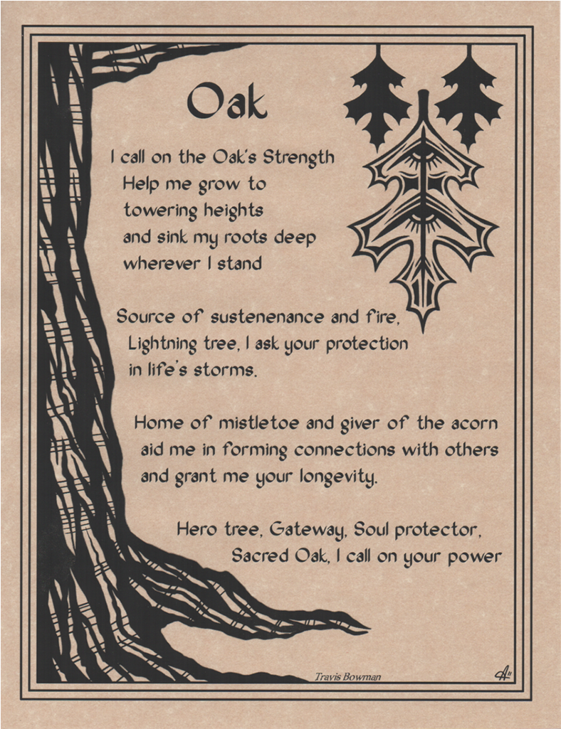 Oak Prayer Parchment Poster - Post Oak Tree Magical Properties Clipart (1024x1024), Png Download
