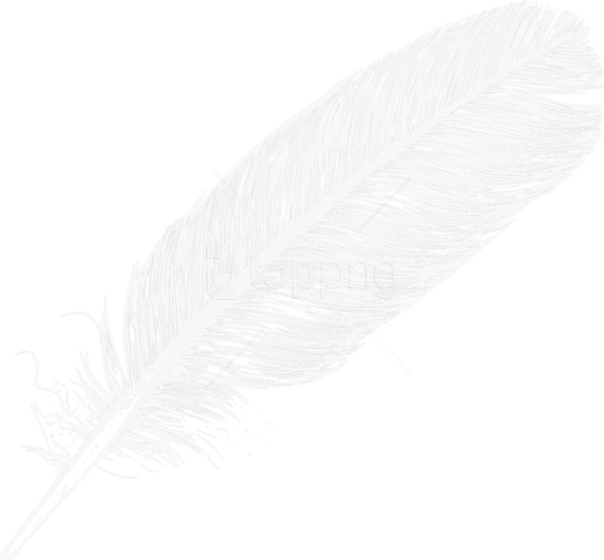 Free Png Download Large White Transparent Feather Clipart - White Feather Transparent Background (850x788), Png Download