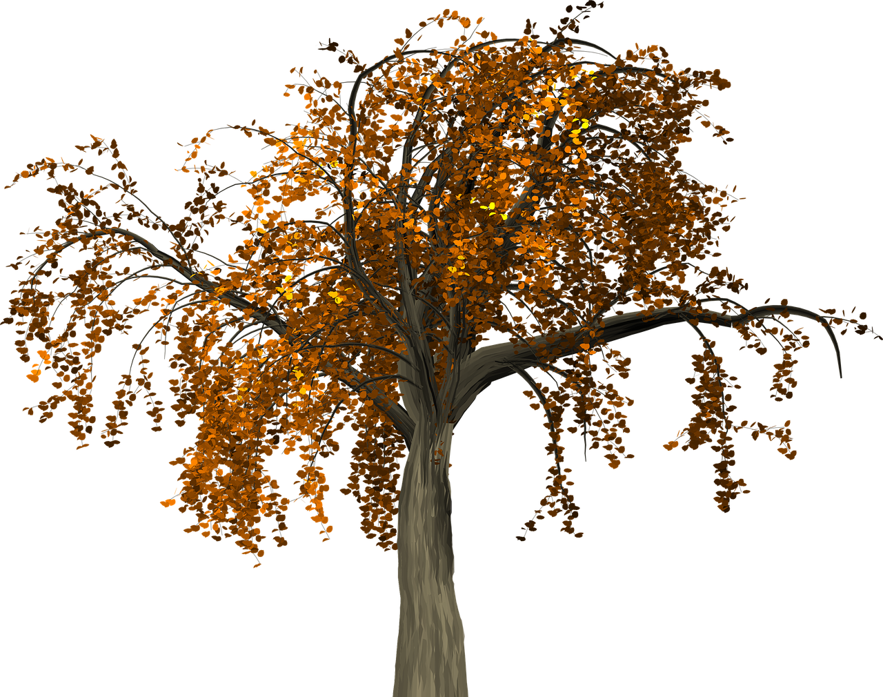 Autumn Tree Branch Free Clipart Hd Clipart - Arvore No Outono Em Png Transparent Png (1280x1010), Png Download
