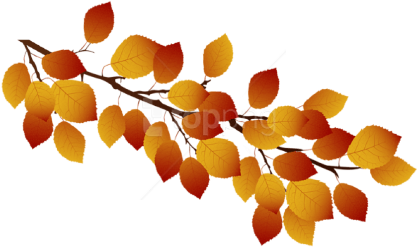 Free Png Download Autumn Branch Clipart Png Photo Png - Transparent Autumn Branch Clipart (850x505), Png Download