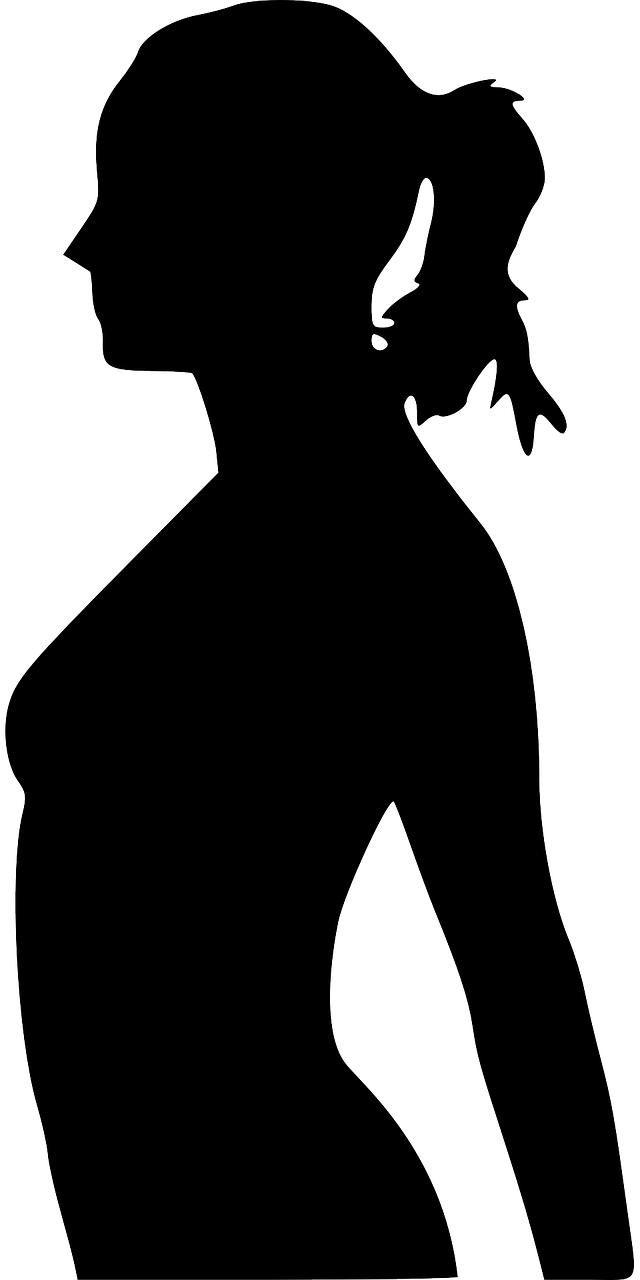 Pregnancy Female Profile - Pregnant Women No Background Clipart (640x1280), Png Download