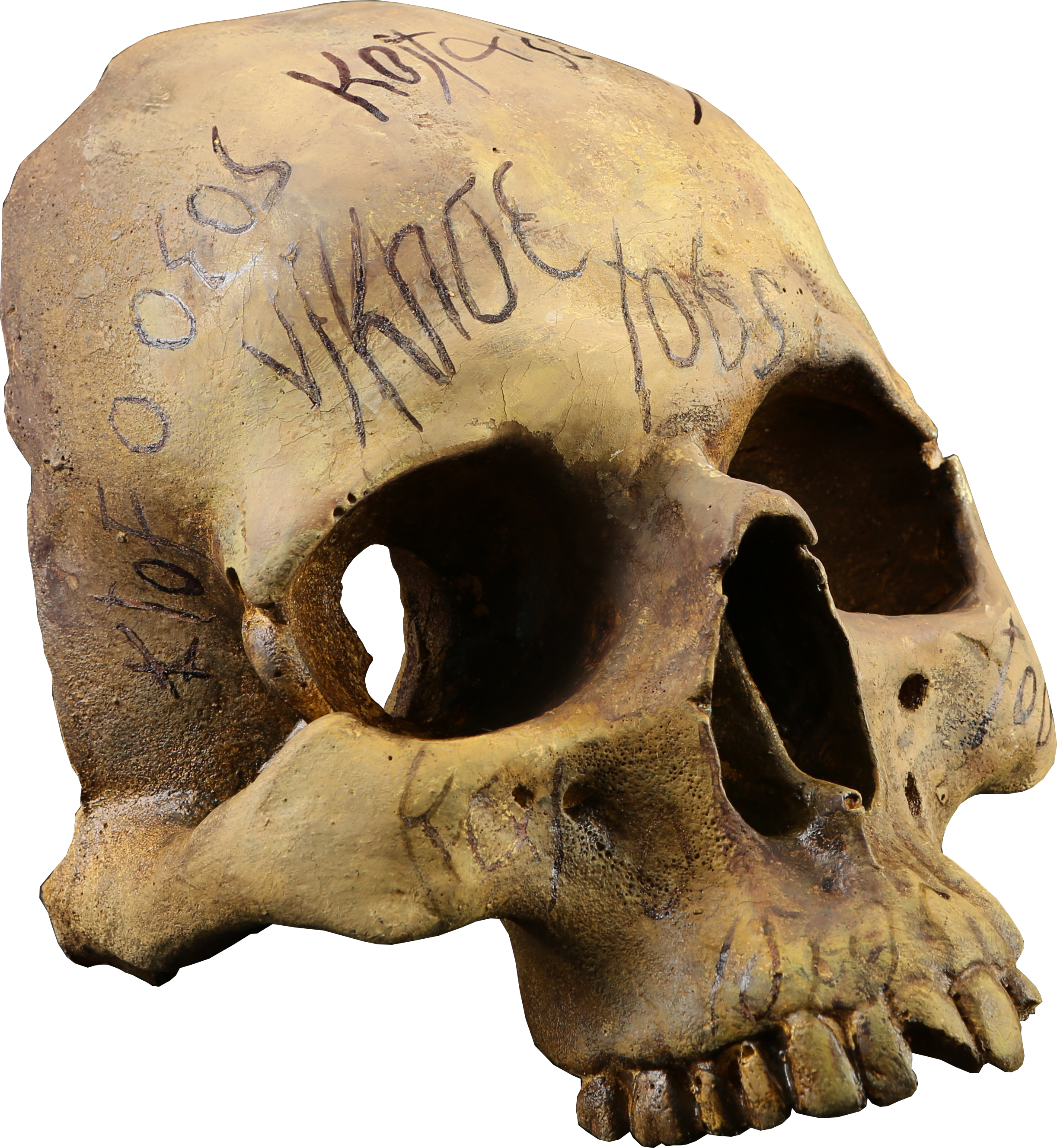 #pennydreadful #auction #halloween #spooky #horror - Skull Clipart (2445x2655), Png Download