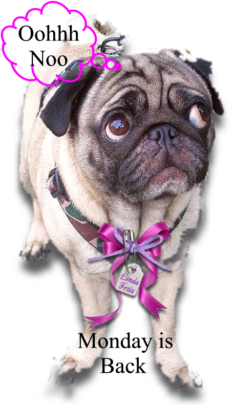 Pug, Pug Dogs, Pugs - Pug Clipart (500x800), Png Download