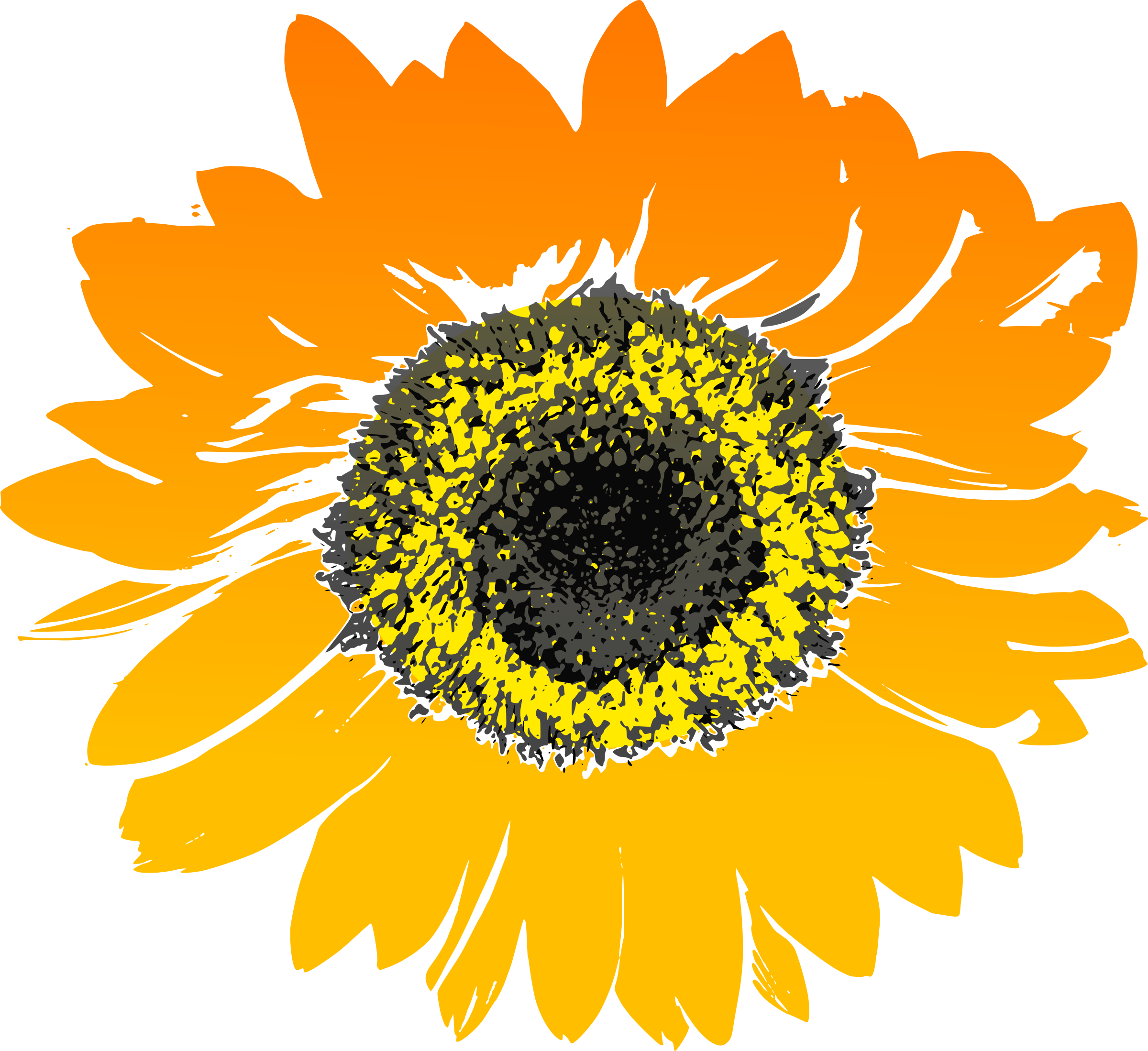 Sunflower Clip Art Library Library - Sunflower Drawing No Background - Png Download (2400x2198), Png Download