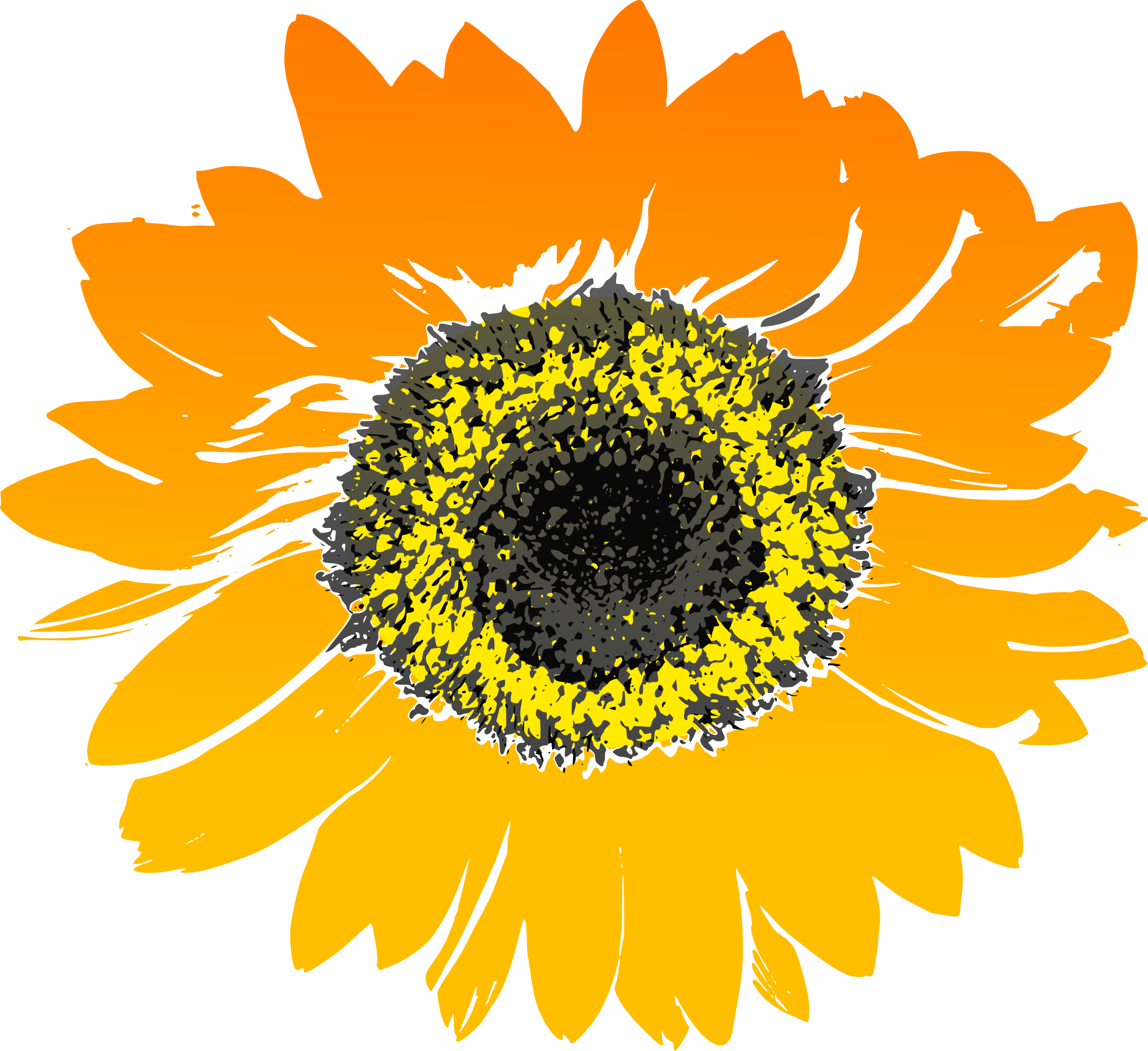 Sunflower Clip Art Library Library Sunflower Drawing No Background