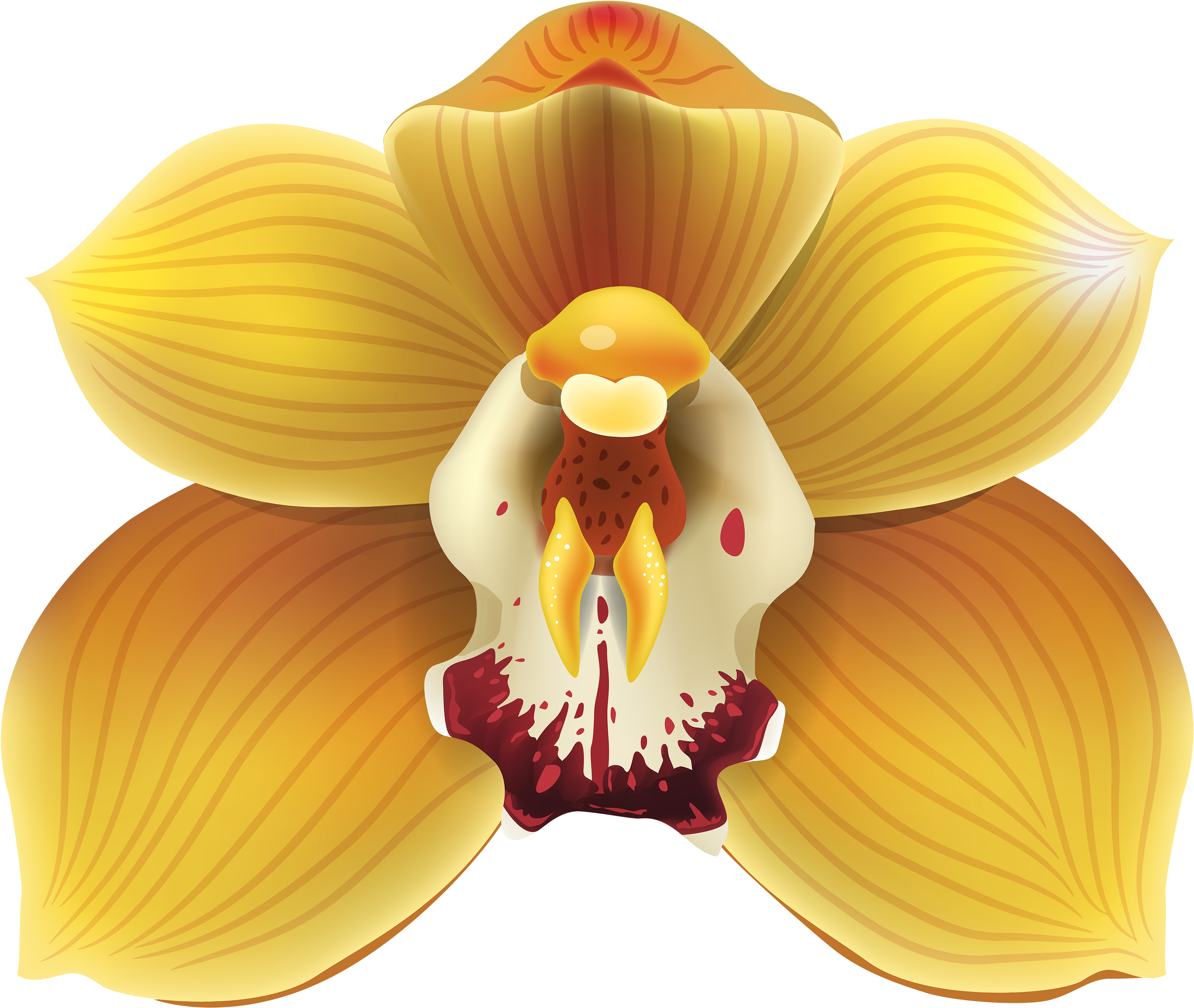 Yellow Orchid Png Clipart - Yellow Orchids Png Transparent Png (3000x2560), Png Download