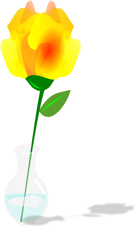 Yellow Flower Petal Pink White - Flor Amarela Clipart - Png Download (449x750), Png Download