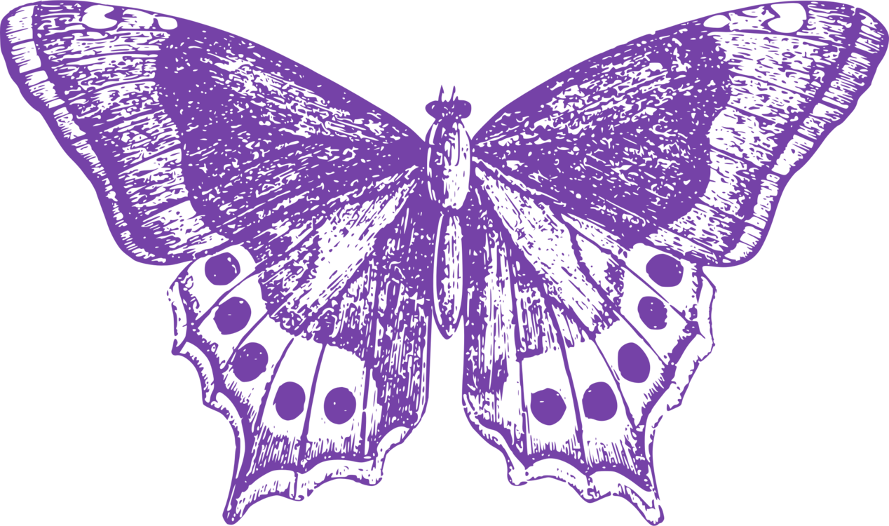 Monarch Butterfly Moth Thumbnail Insect - Big Purple Butterfly Clipart (1268x750), Png Download