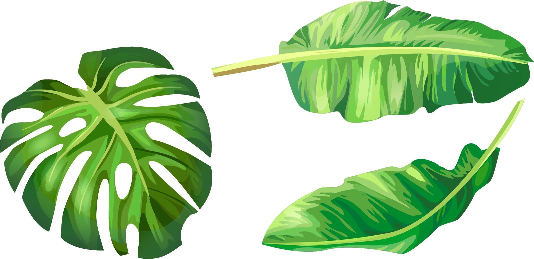 Leaf Euclidean Vector Illustration Hand Painted Handpainted - Banana Leaf Clip Art - Png Download (2138x1036), Png Download
