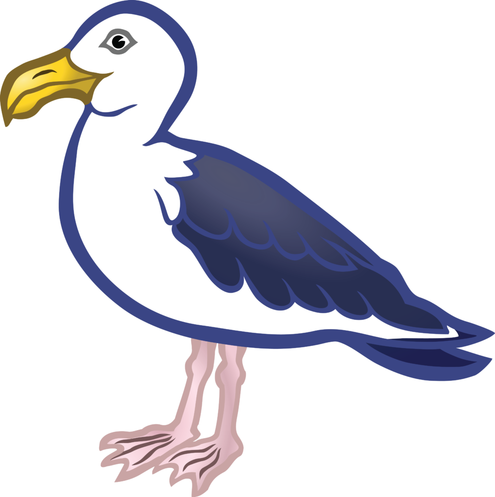 Seagull Clipart - Seagull Drawing Clip Art - Png Download (1021x1024), Png Download