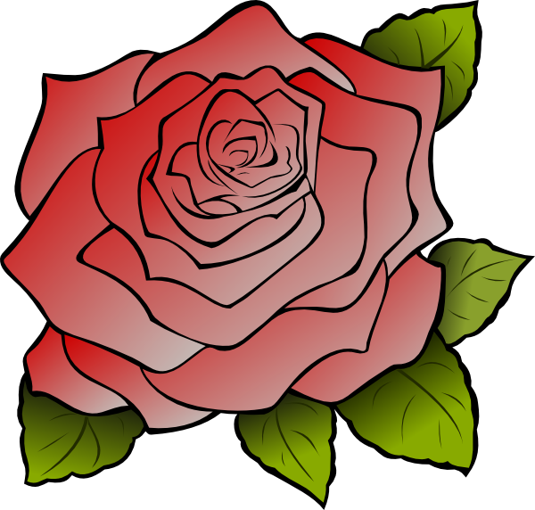 Red Rose Png Clipart (600x572), Png Download