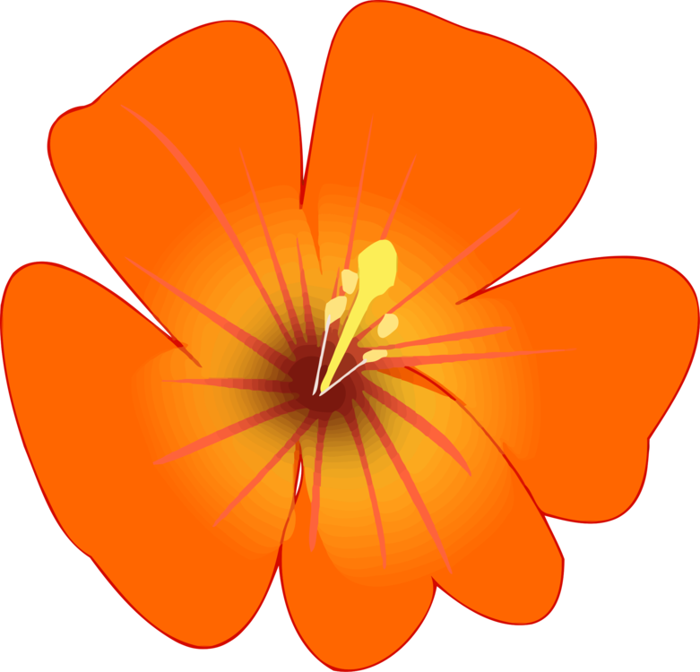 Download Rosemallows Flower Petal Plants Herbaceous Plant - Geranium