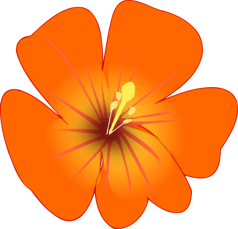 Rosemallows Flower Petal Plants Herbaceous Plant - Geranium Clipart (781x750), Png Download
