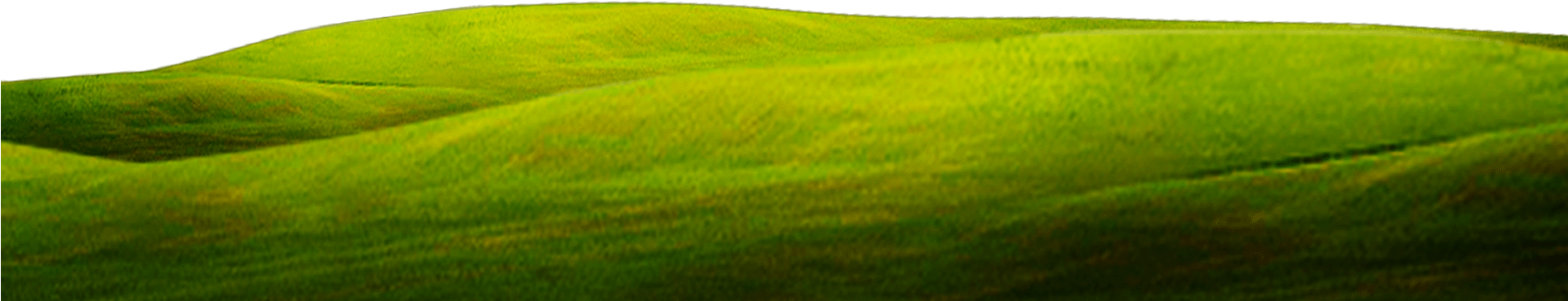 Green Close Up Wallpaper Grass Background 1920*800 - Grass Clipart (1920x800), Png Download