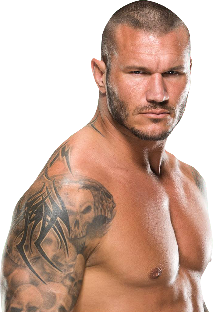 Randy Orton Png Image - Randy Orton Png Clipart (699x1023), Png Download
