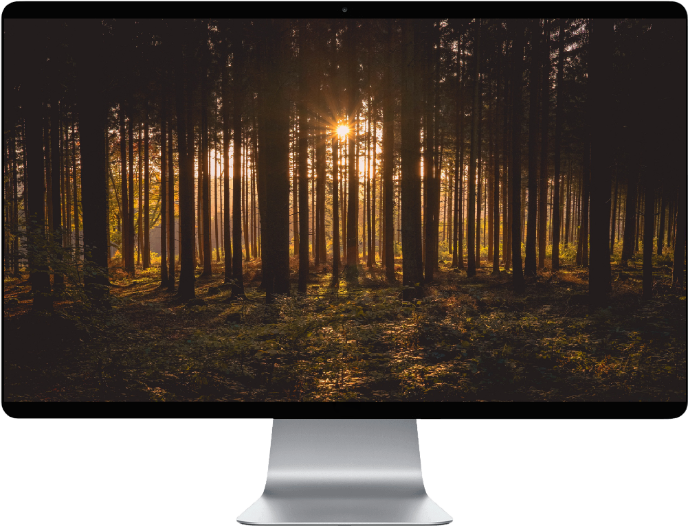 Score 50% Clipart (1000x1000), Png Download