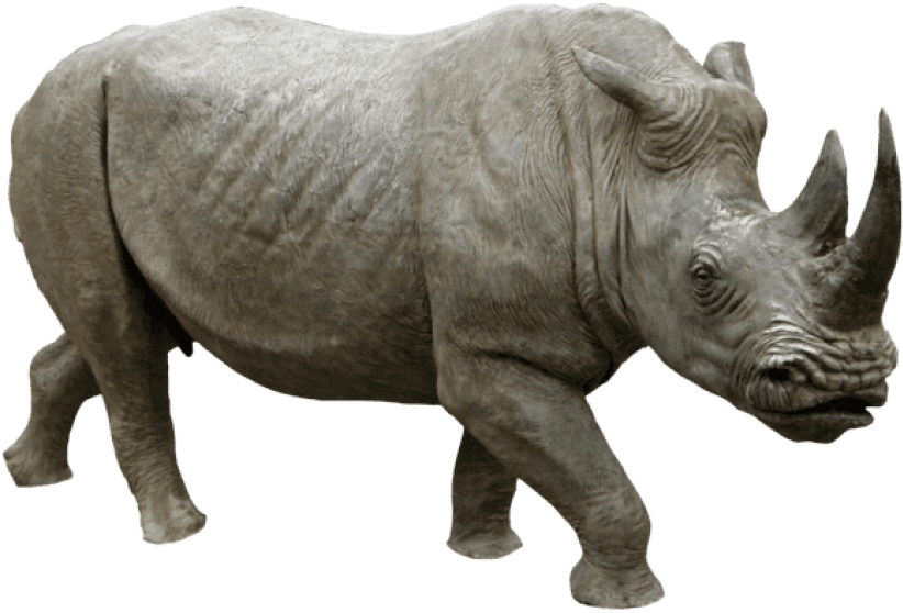 Download Rhino Running Png Images Background - Rhinoceros Png Clipart (850x571), Png Download