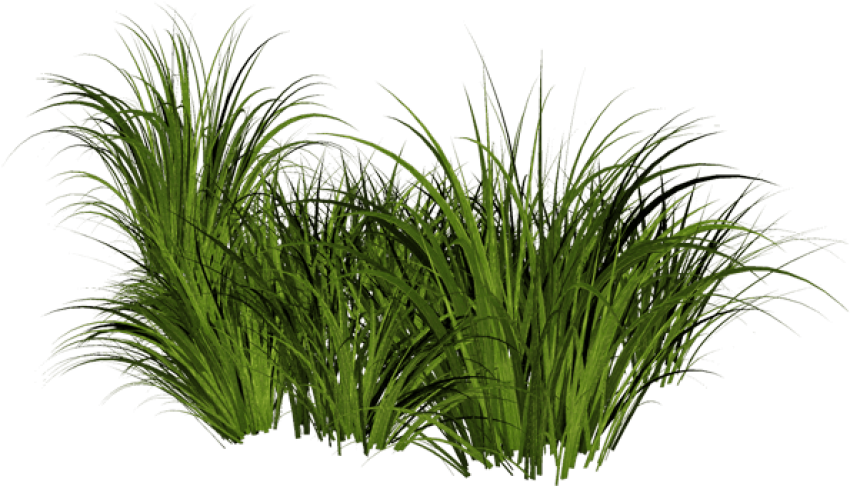 Free Png Download Tall Grass Transparent Background - Transparent Grass Png Clipart (850x486), Png Download