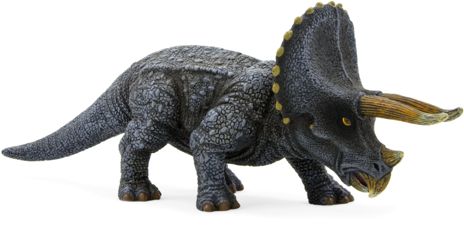 Realistic Triceratops Clipart (1000x1000), Png Download