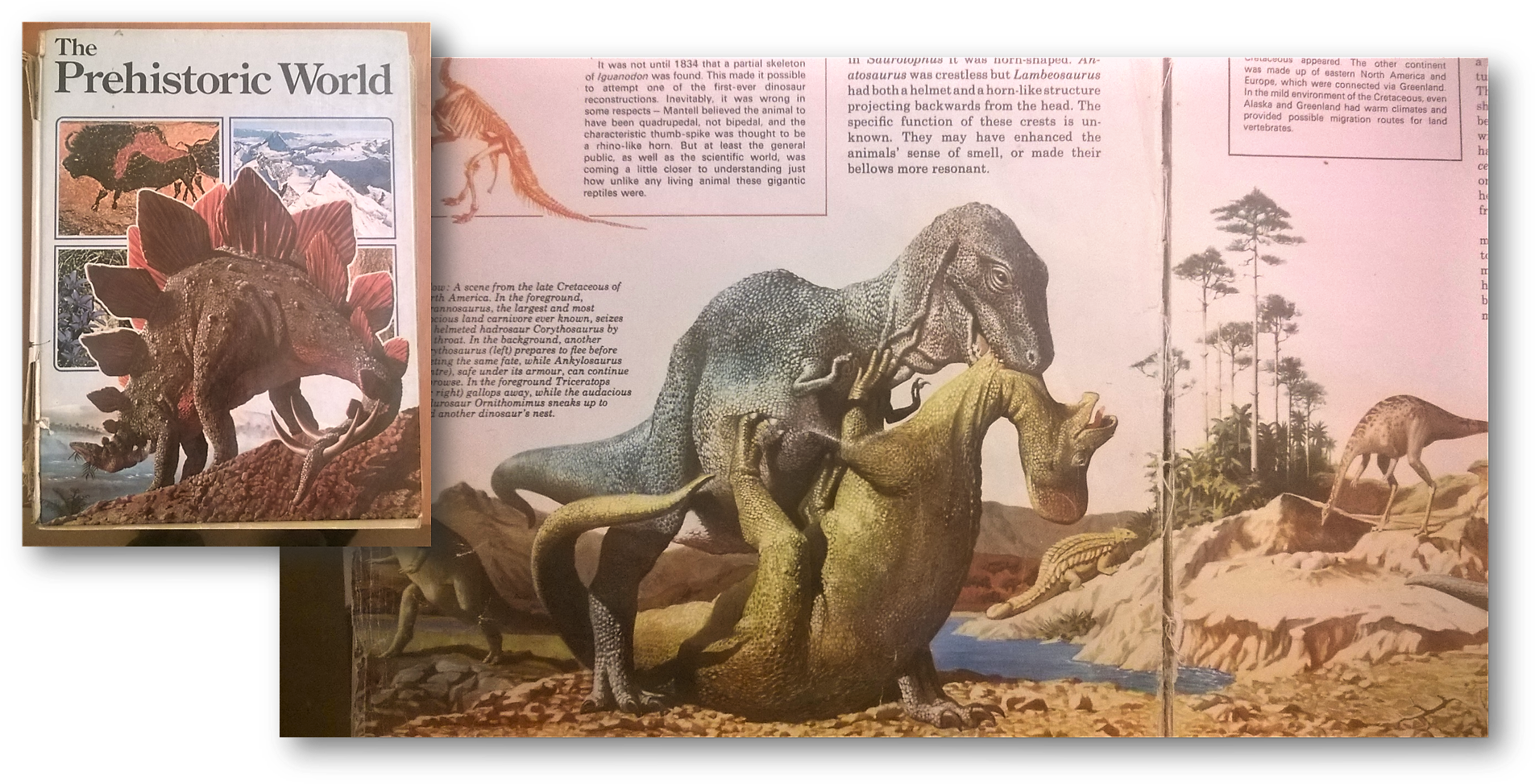 Peter Falkingham - Lesothosaurus Clipart (1923x986), Png Download