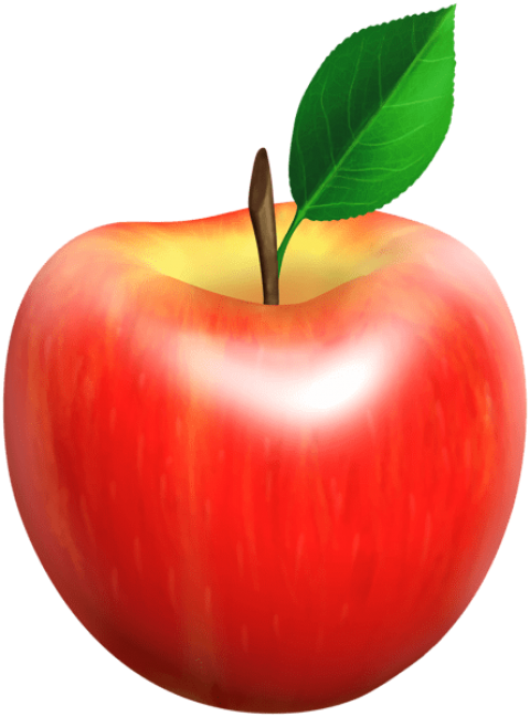 Free Png Fresh Apple Png - Apple Clipart (480x649), Png Download