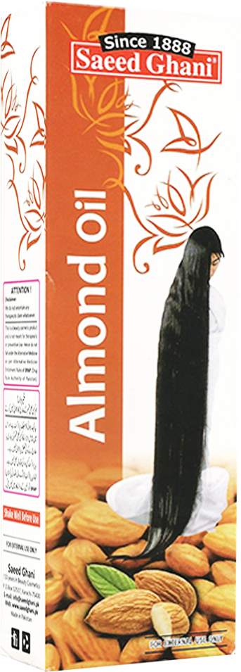 Almond Clipart (1000x1000), Png Download