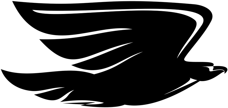 Eagle, Profile, Black, Silhouette, Vector, Decorative - Aguia Preto E Branco Clipart (960x678), Png Download