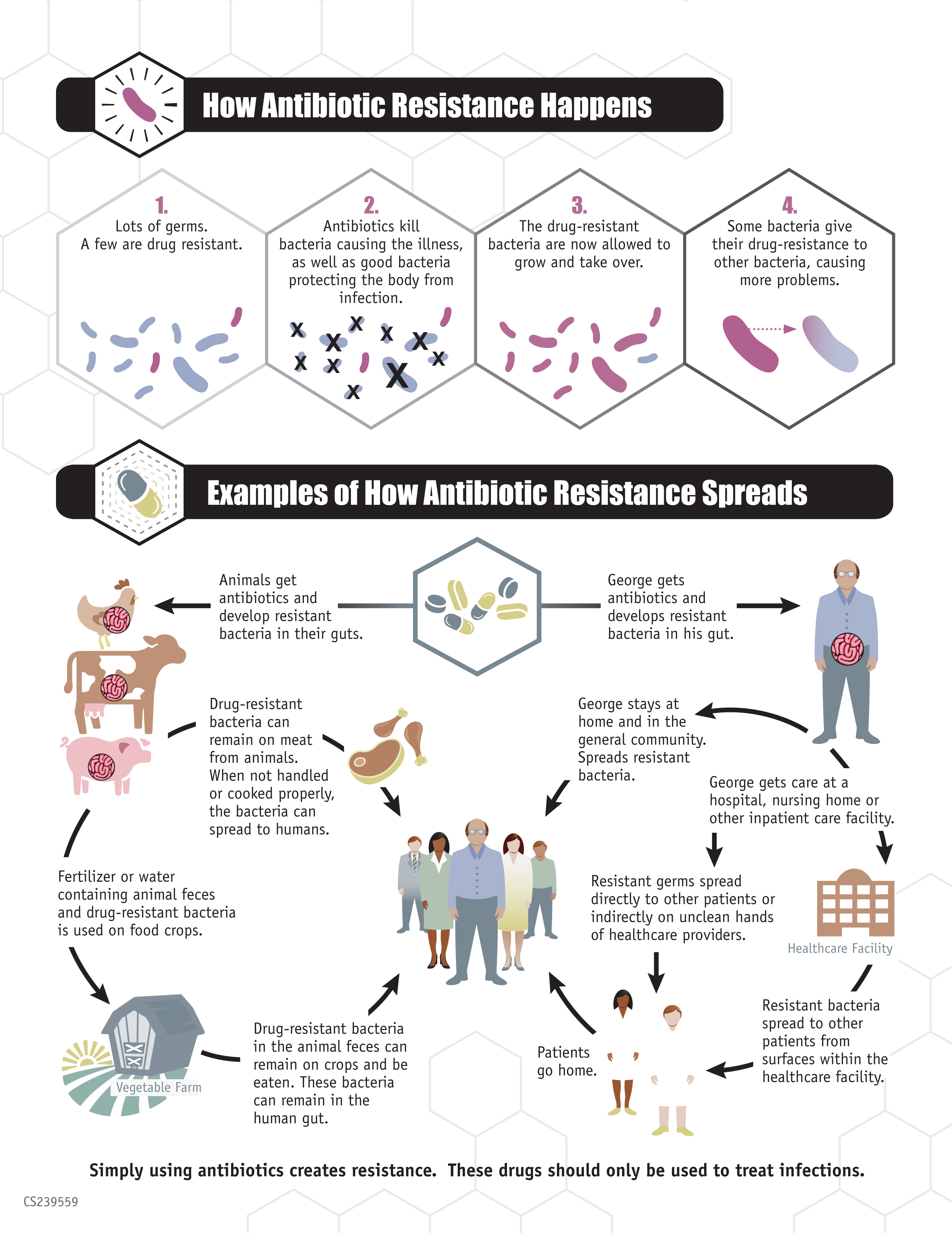 Antibiotic Resistance Threat] - Antibiotic Resistance Of Gmos Clipart (2550x3300), Png Download