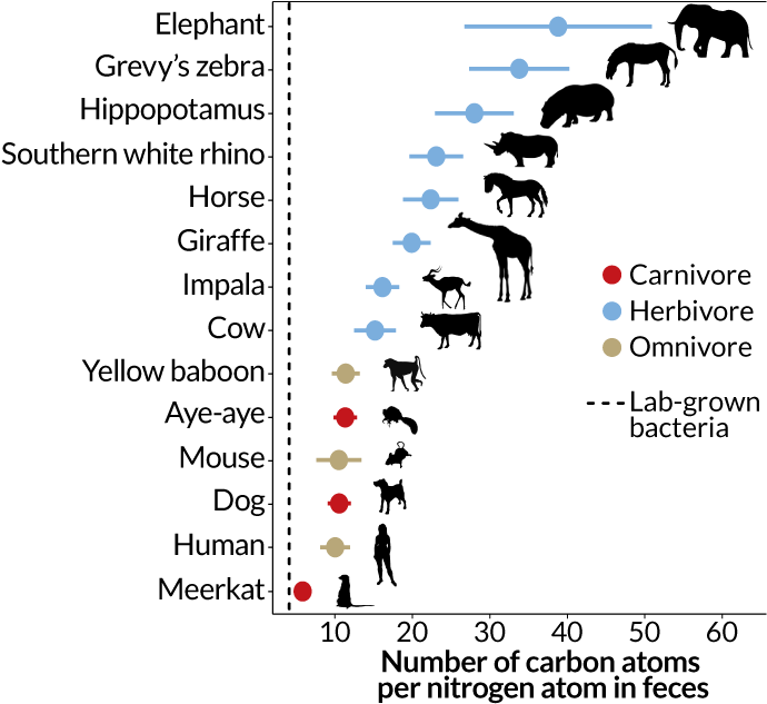 Still - Illustration Clipart (730x650), Png Download