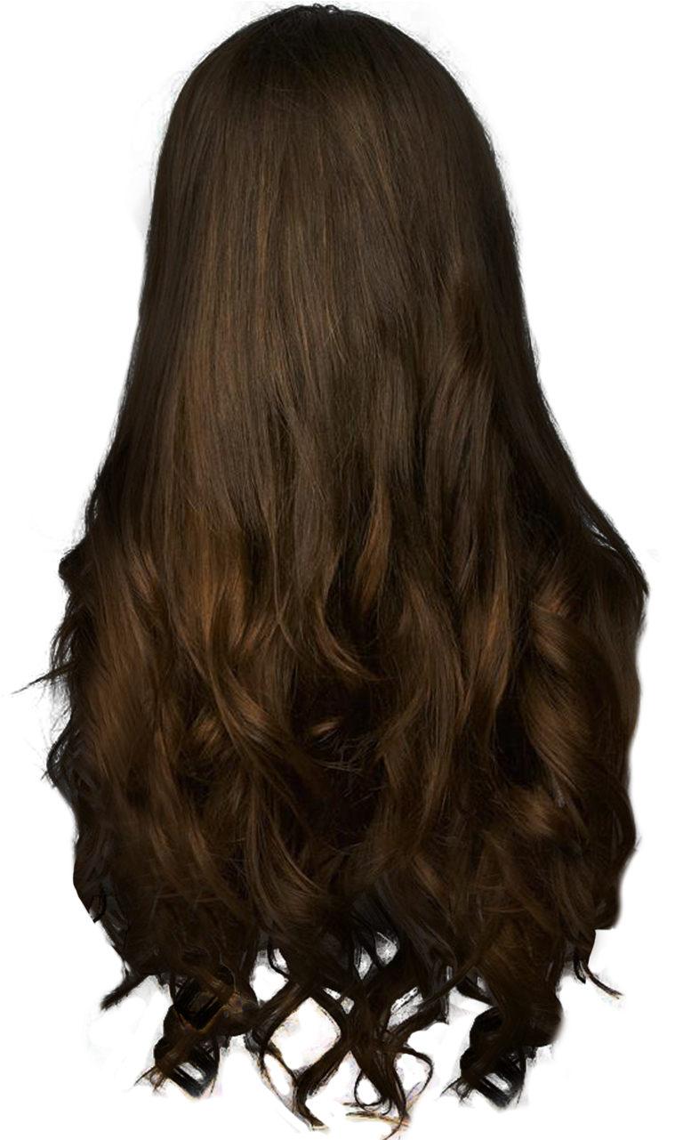 Women Hair - Back Of Hair Png Clipart (1024x1280), Png Download